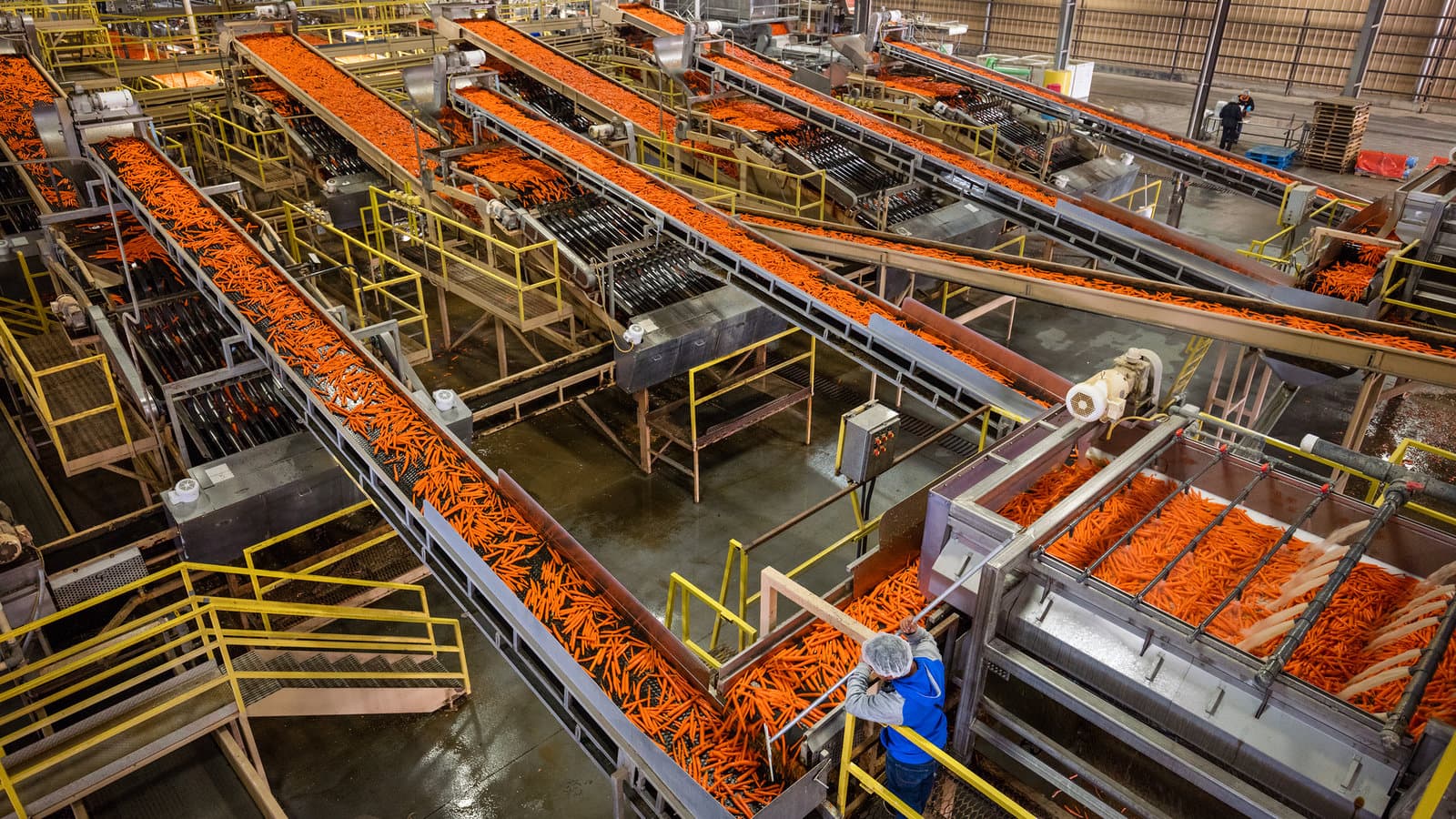 Food Processing & Agri-Industria